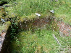 
Rhyswg Fach, Nant Carn, Cwmcarn, July 2011